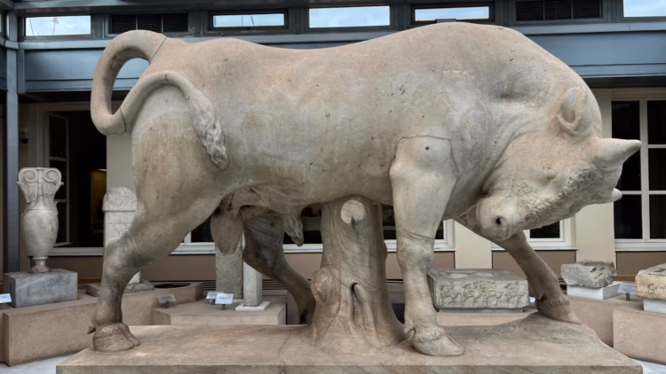 Bull at the Kerameikos Cemetery Museum in Athens