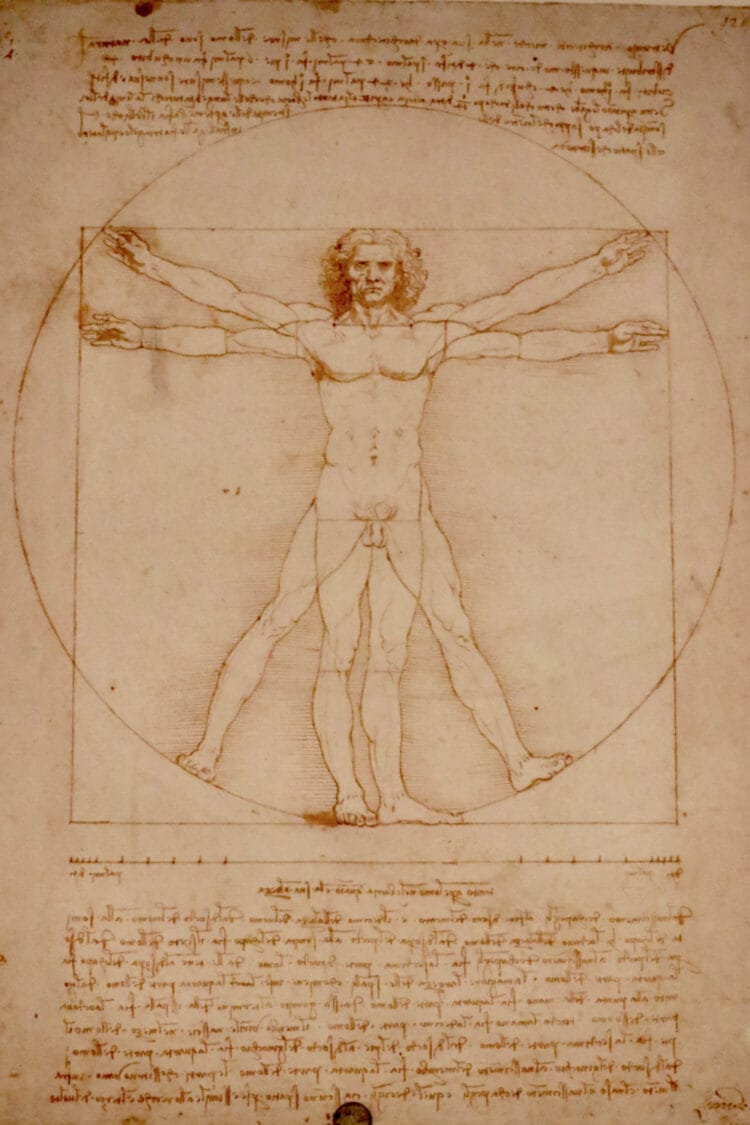 Leonardo da Vinci's Vitruvian Man full folio