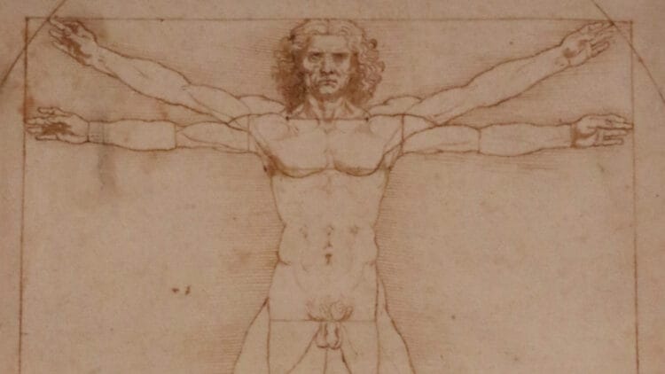 Visit the Gallerie dell'Accademia, the top art museum in Venice, to see masterpieces by Titian, Bellini, Veronese, Tintoretto, and, with a bit of luck, Leonardo da Vinci's Vitruvian Man.