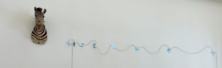 Mario Merz, Zebra (and Fibonacci) in the Museo del Novecento in Milan