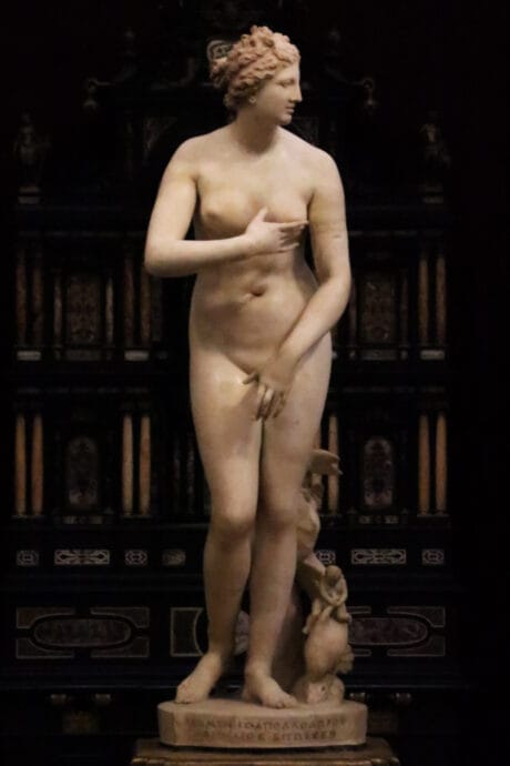 Venus de Medici in the Uffizi full frontal front