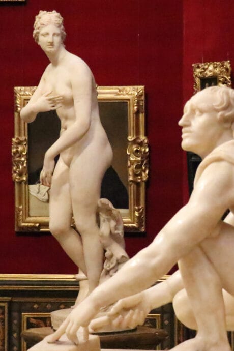 Venus de Medici in the Uffizi seen from the left behind the knife Grinder